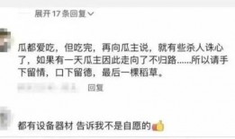 爆料八百万男网红视频,视频爆料背后的网络生态
